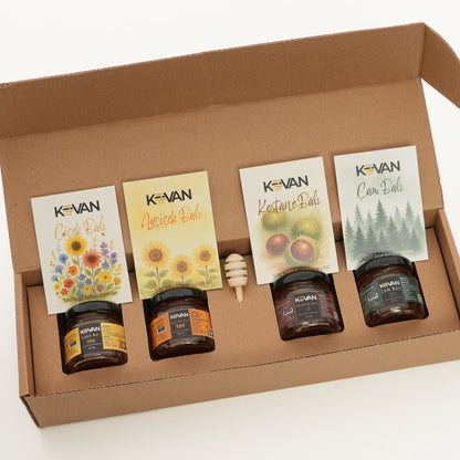 4'LÜ TADIM KUTUSU (ÇİÇEK, AYÇİÇEK, KESTANE, ÇAM)