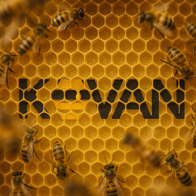 Arı Dostu Ekibimiz Sizin İçin Burada